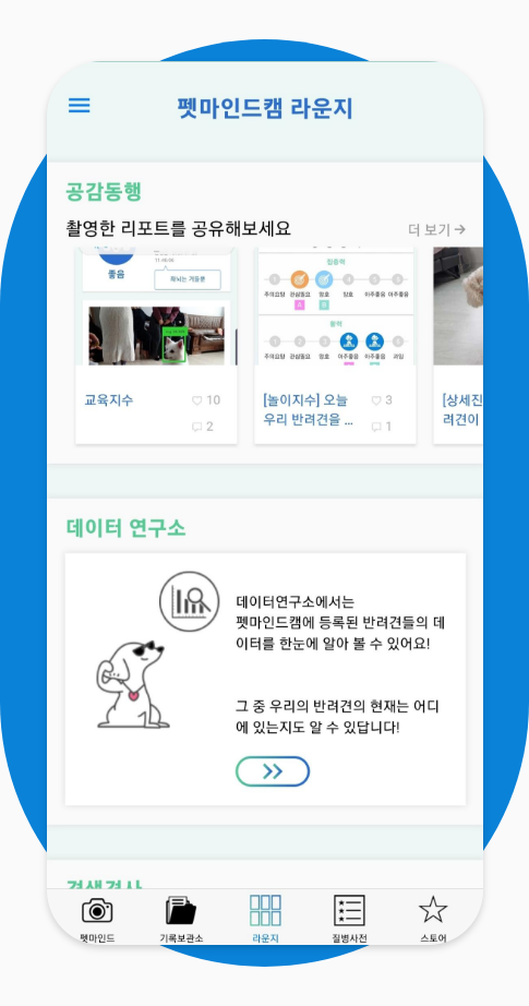 펫마캠